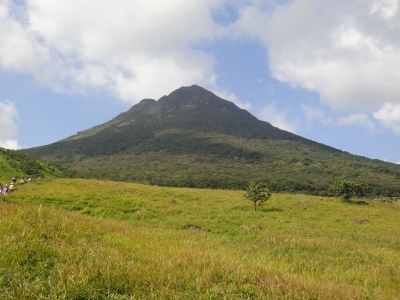 d0182075_47799.jpg