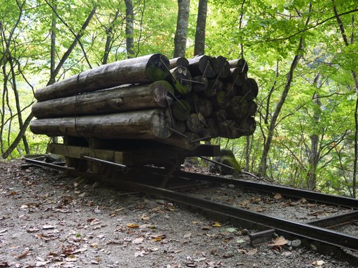 f0054075_12343750.jpg