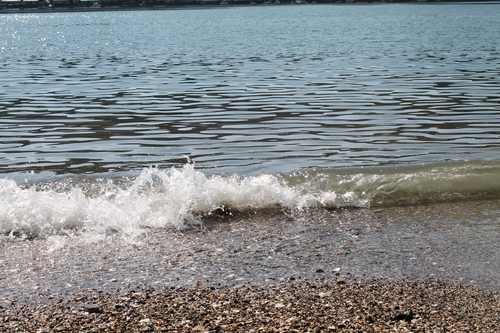 f0054677_514025.jpg