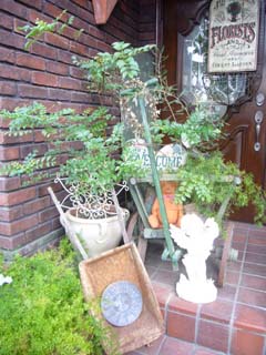 f0091282_11272594.jpg