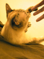 c0207189_015525.jpg