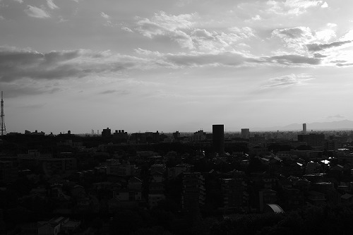 b0119493_8264448.jpg