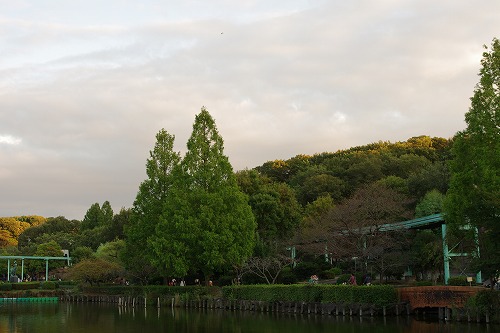 b0119493_8314760.jpg