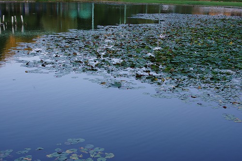 b0119493_8323986.jpg