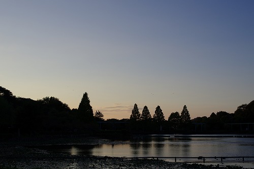 b0119493_836840.jpg