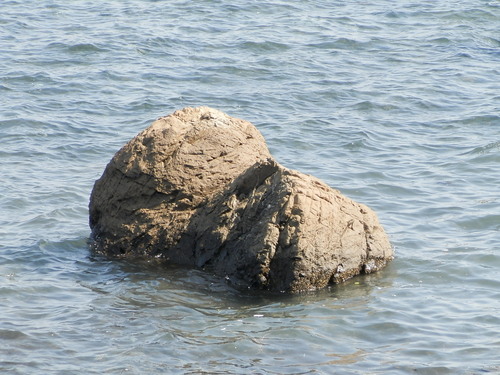 f0181793_18632100.jpg