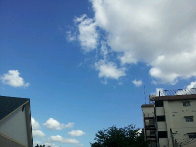 d0239796_1336837.jpg