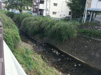 d0239796_133747.jpg