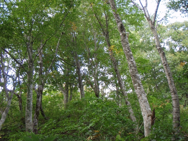 b0039898_16304153.jpg