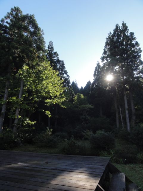 a0061599_7574242.jpg