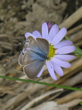 a0117599_23525088.jpg