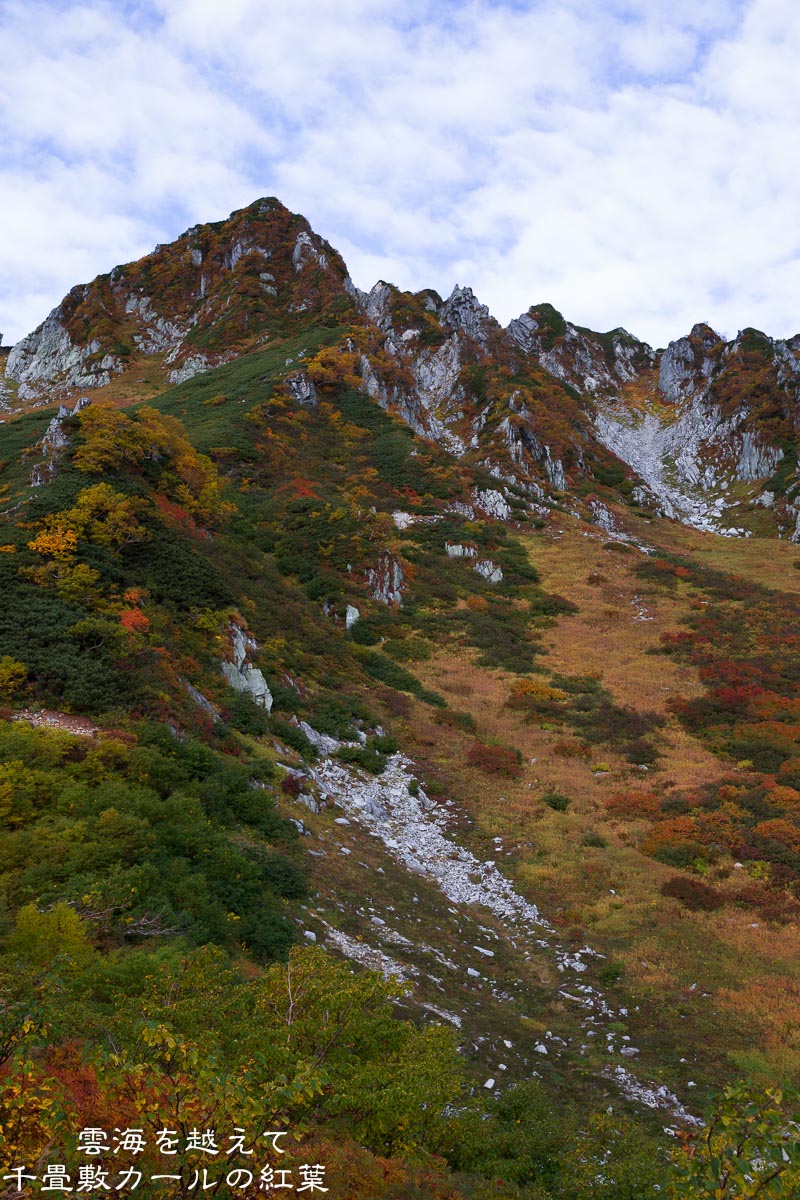 f0220502_20305661.jpg