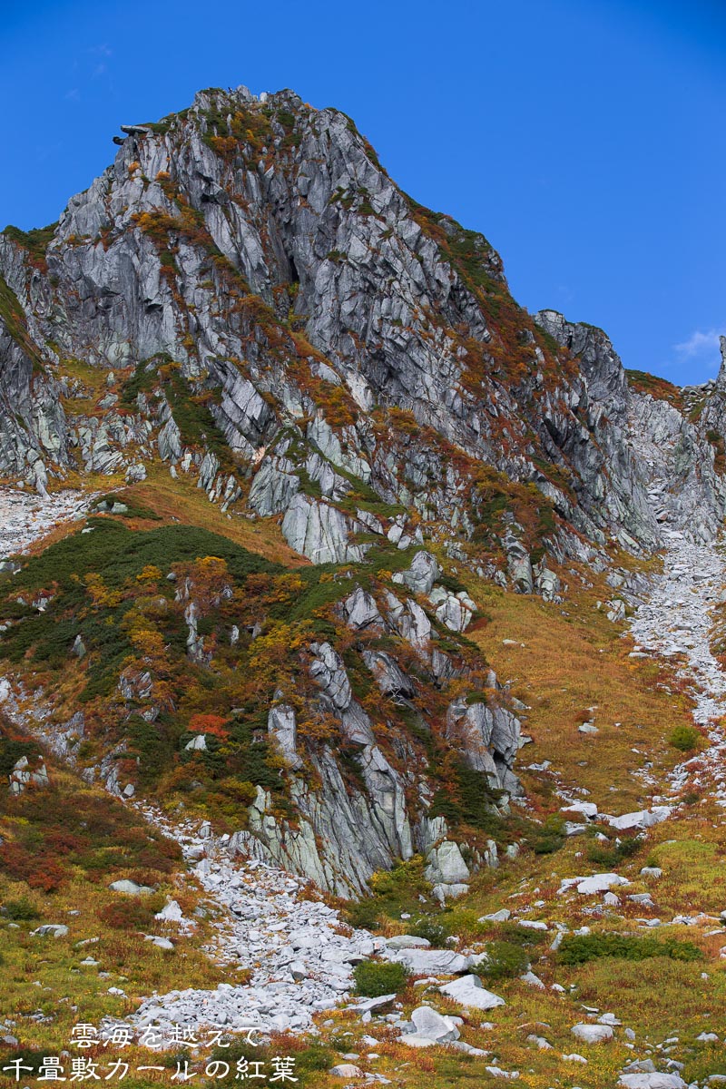 f0220502_20371564.jpg