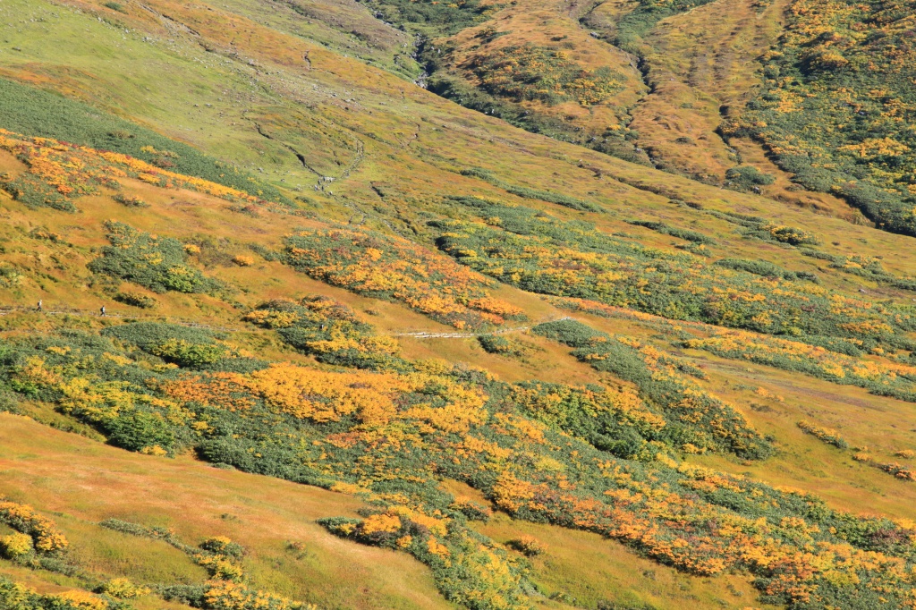 b0050305_0482496.jpg