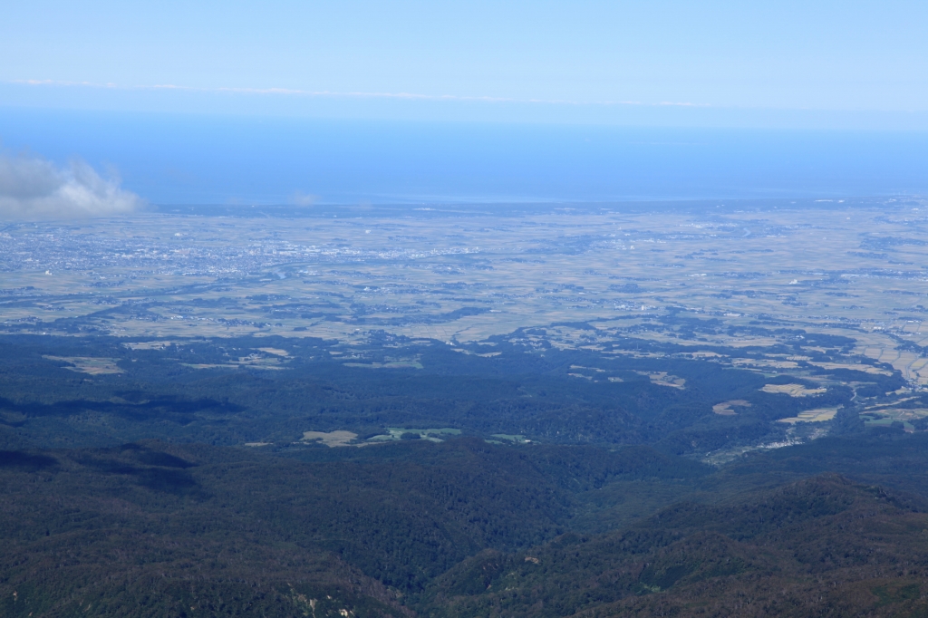 b0050305_2011955.jpg