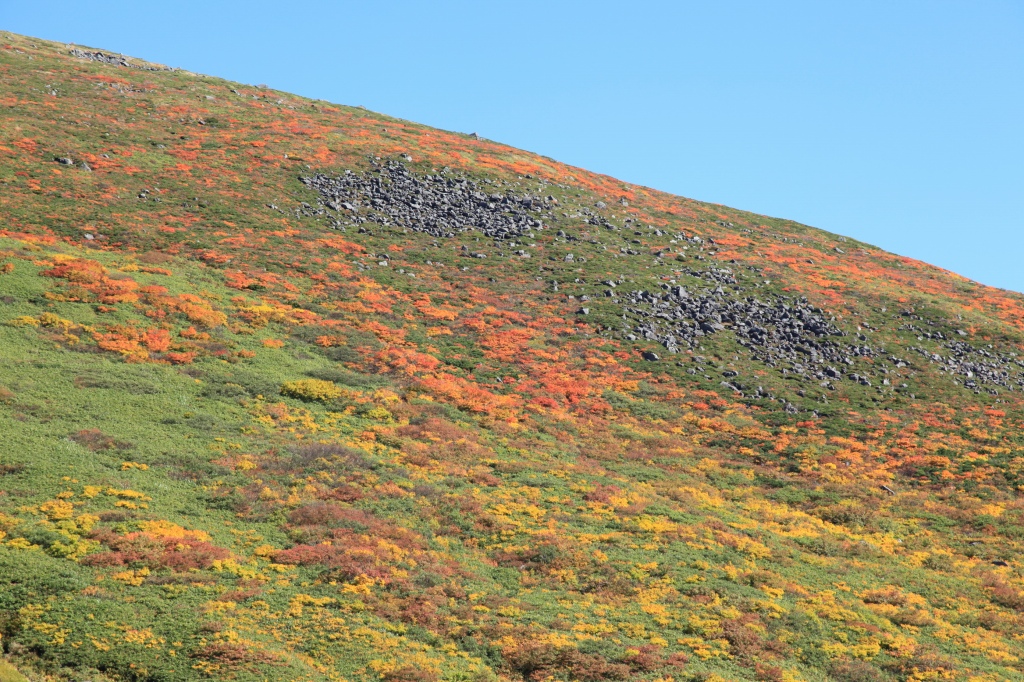b0050305_20152231.jpg