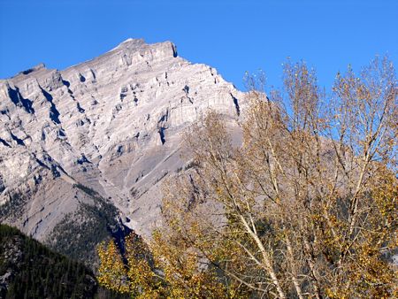 b0051109_10293229.jpg