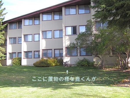 b0051109_10304153.jpg