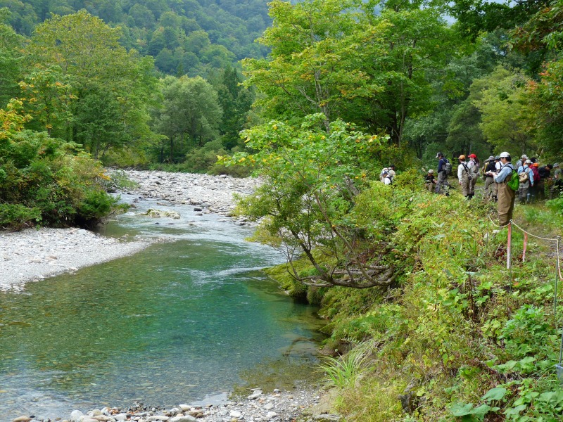 d0205917_21144693.jpg