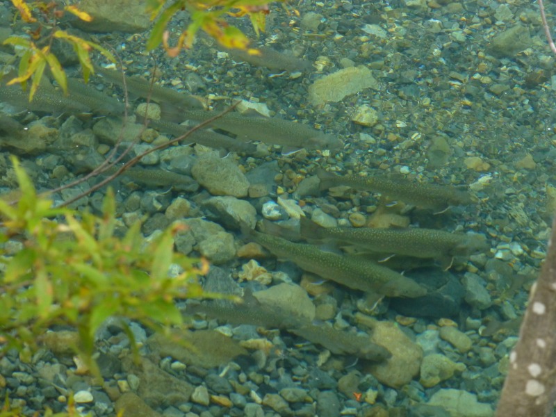 d0205917_21151510.jpg