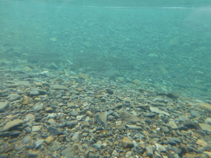 d0205917_21161354.jpg