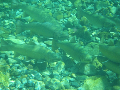 d0205917_2119751.jpg