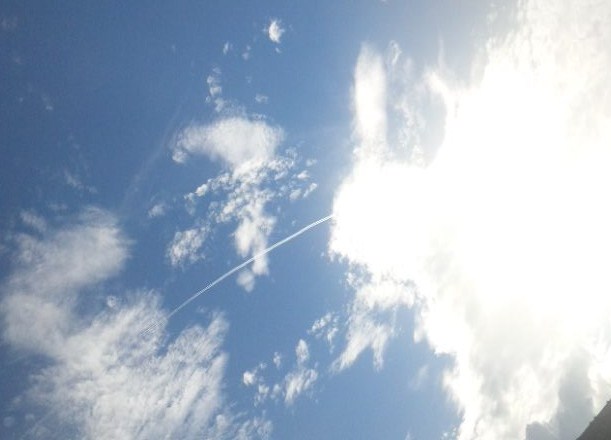 d0085018_18145963.jpg