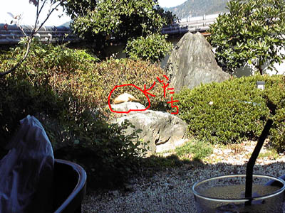 c0227720_21394340.jpg