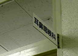 b0252727_75203.png