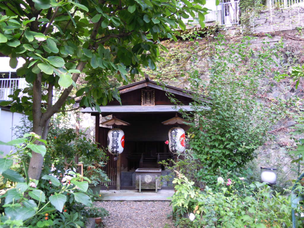 e0081334_054189.jpg