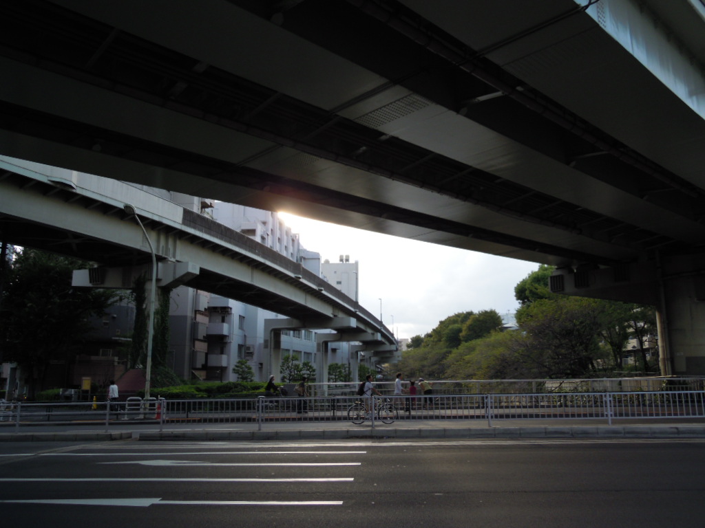 e0081334_1164785.jpg