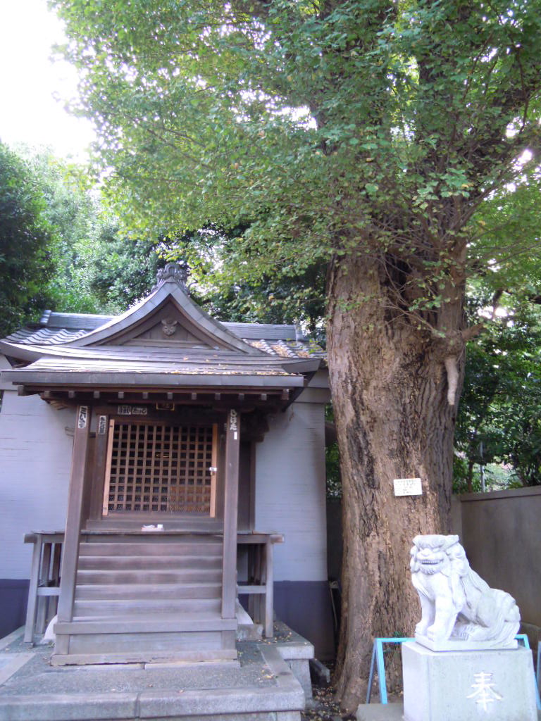 e0081334_1224590.jpg