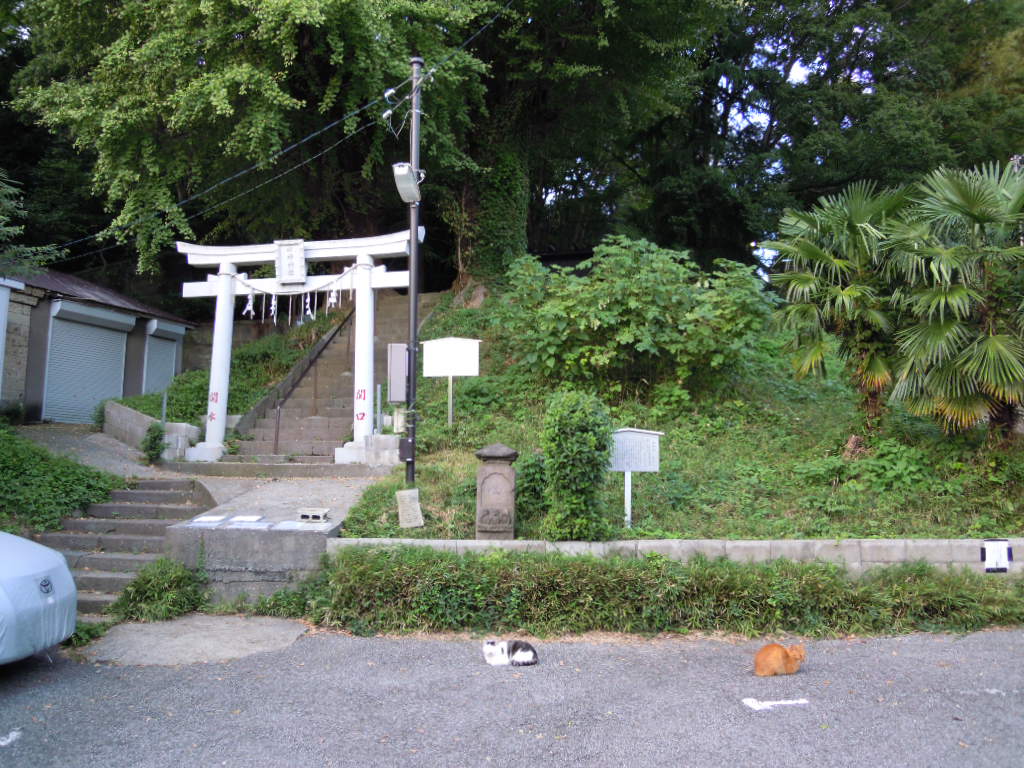 e0081334_1341877.jpg