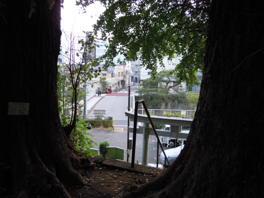e0081334_137387.jpg