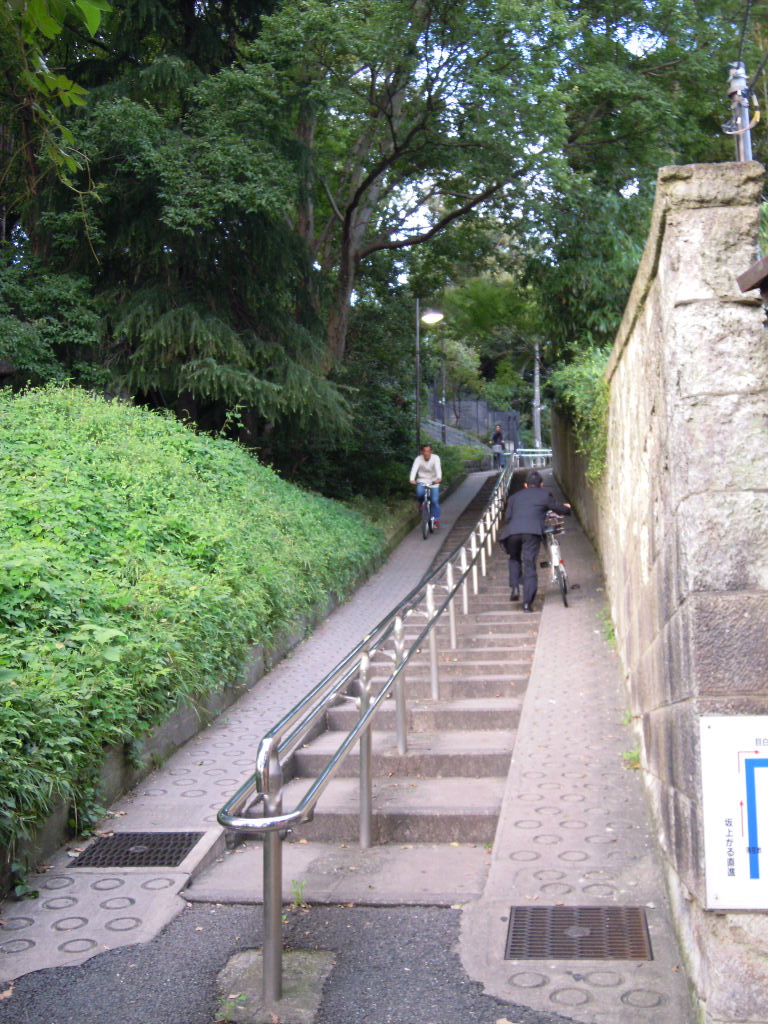 e0081334_1533467.jpg