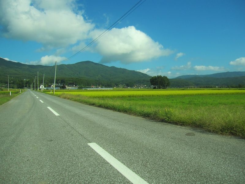 d0088735_21144614.jpg