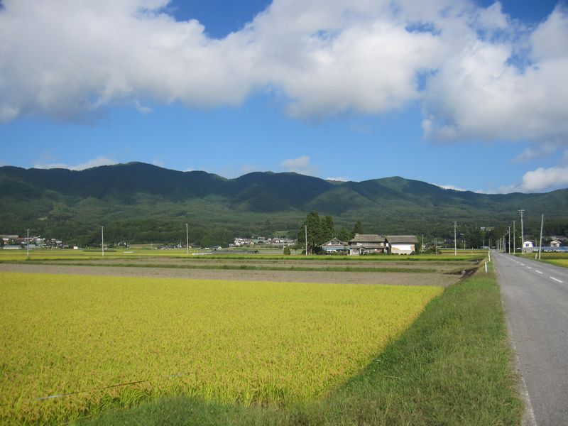 d0088735_2115075.jpg