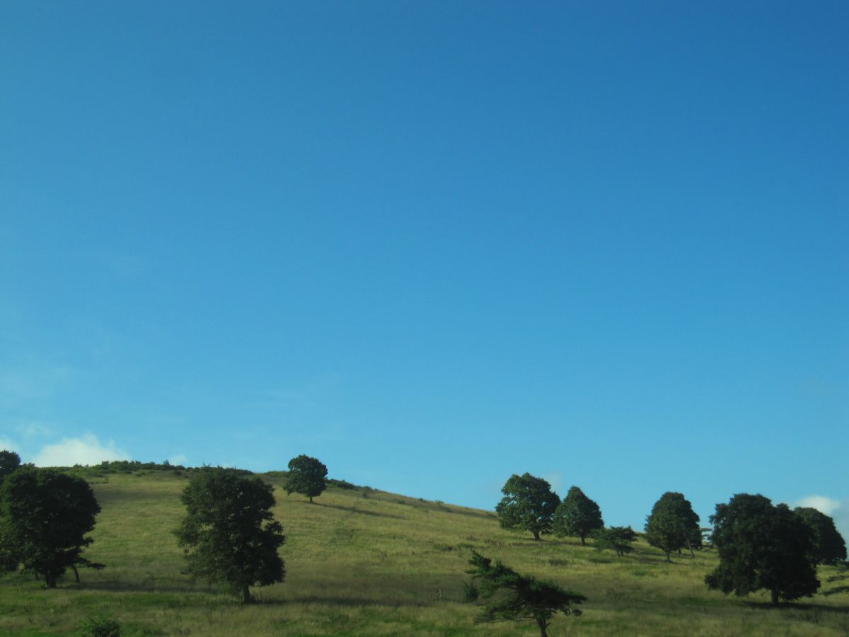 d0088735_2125814.jpg