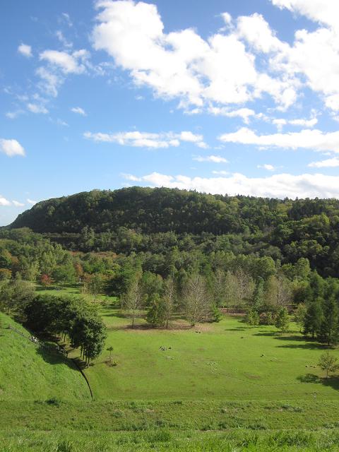 c0234938_15184750.jpg