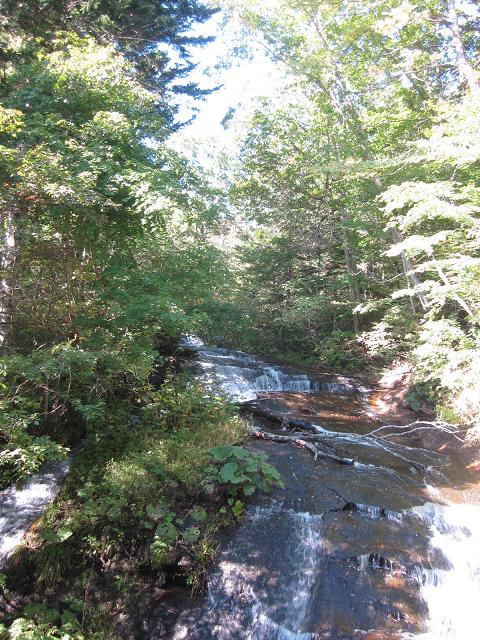 c0234938_15281081.jpg