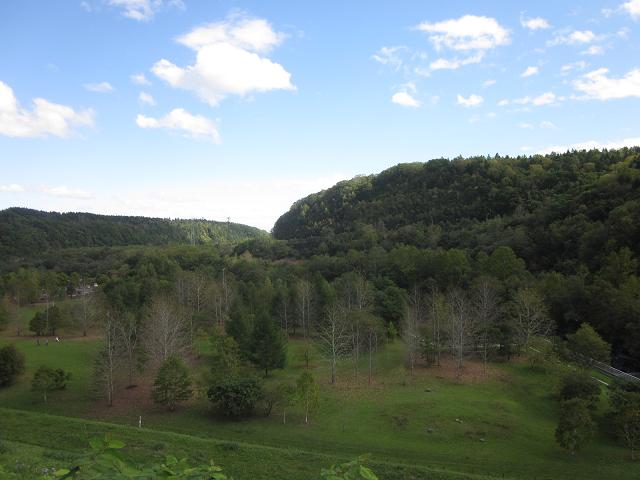 c0234938_15332419.jpg