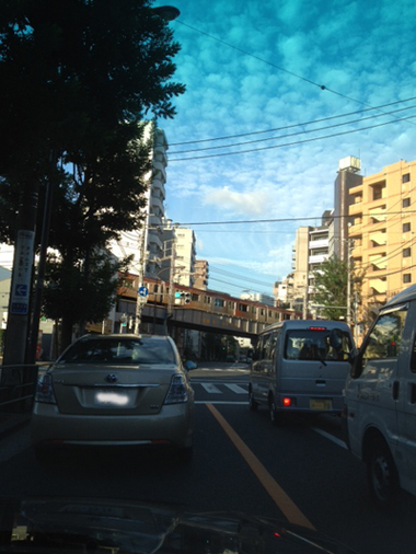 b0055939_112535.jpg