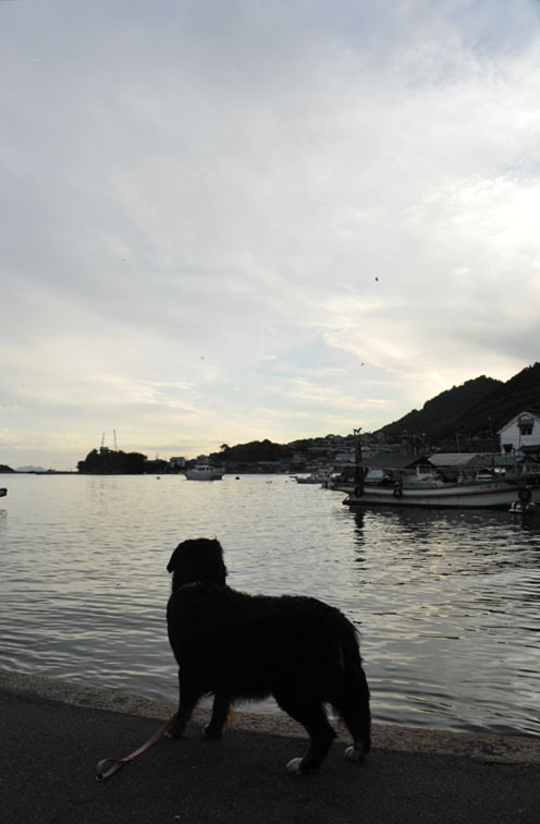 b0075541_1546510.jpg