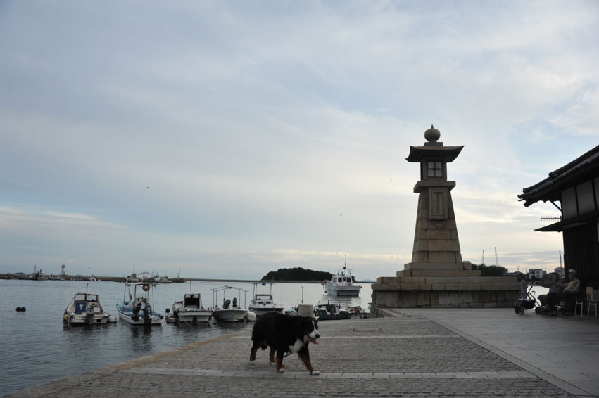 b0075541_15551214.jpg