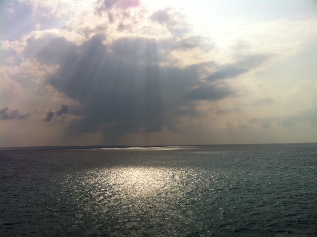 c0084146_573597.jpg