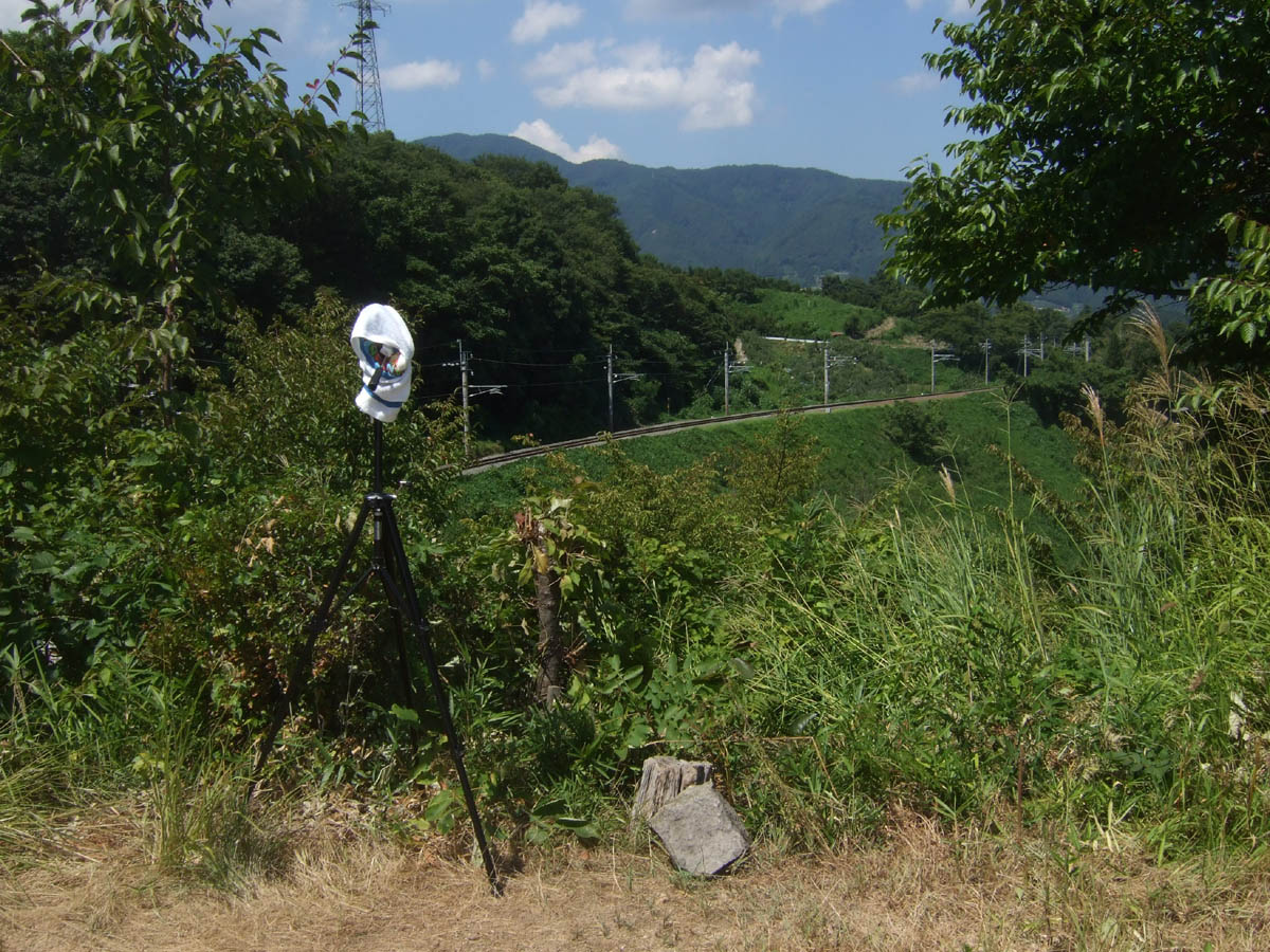a0082347_22102387.jpg