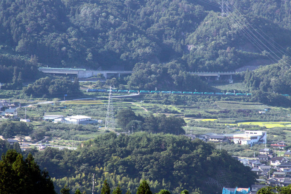 a0082347_229244.jpg