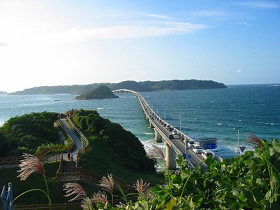 f0000652_1501791.jpg