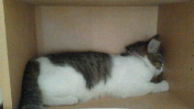 c0052756_0535485.jpg