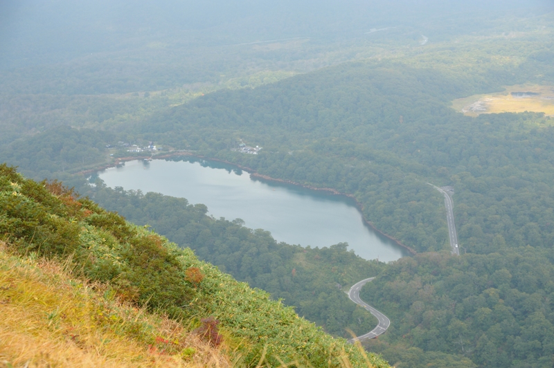 d0169556_18154151.jpg